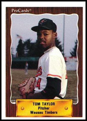 871 Tom Taylor